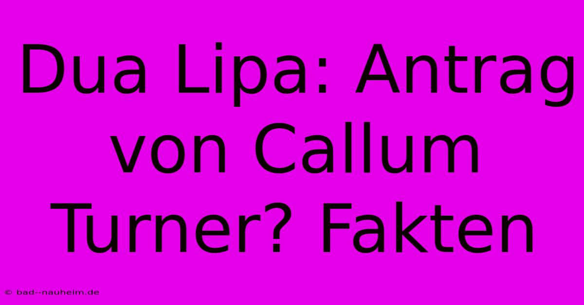 Dua Lipa: Antrag Von Callum Turner? Fakten