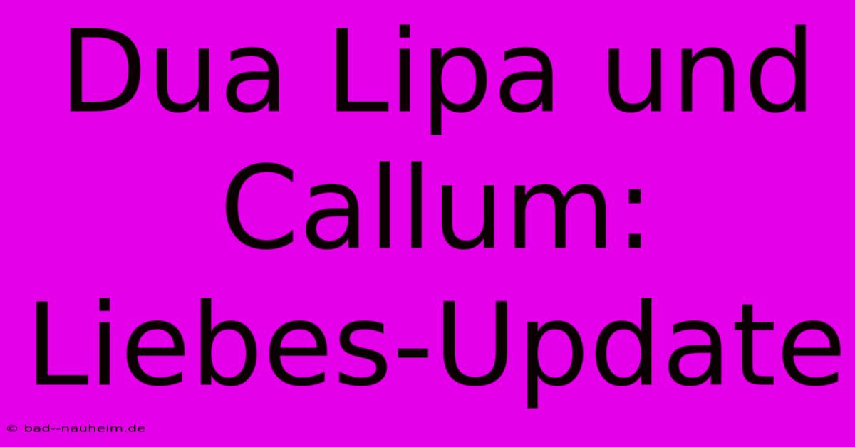 Dua Lipa Und Callum: Liebes-Update