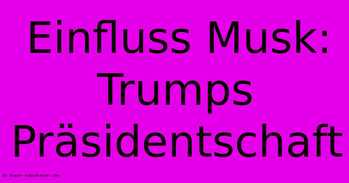 Einfluss Musk: Trumps Präsidentschaft