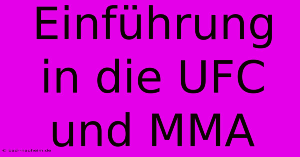 Einführung In Die UFC Und MMA