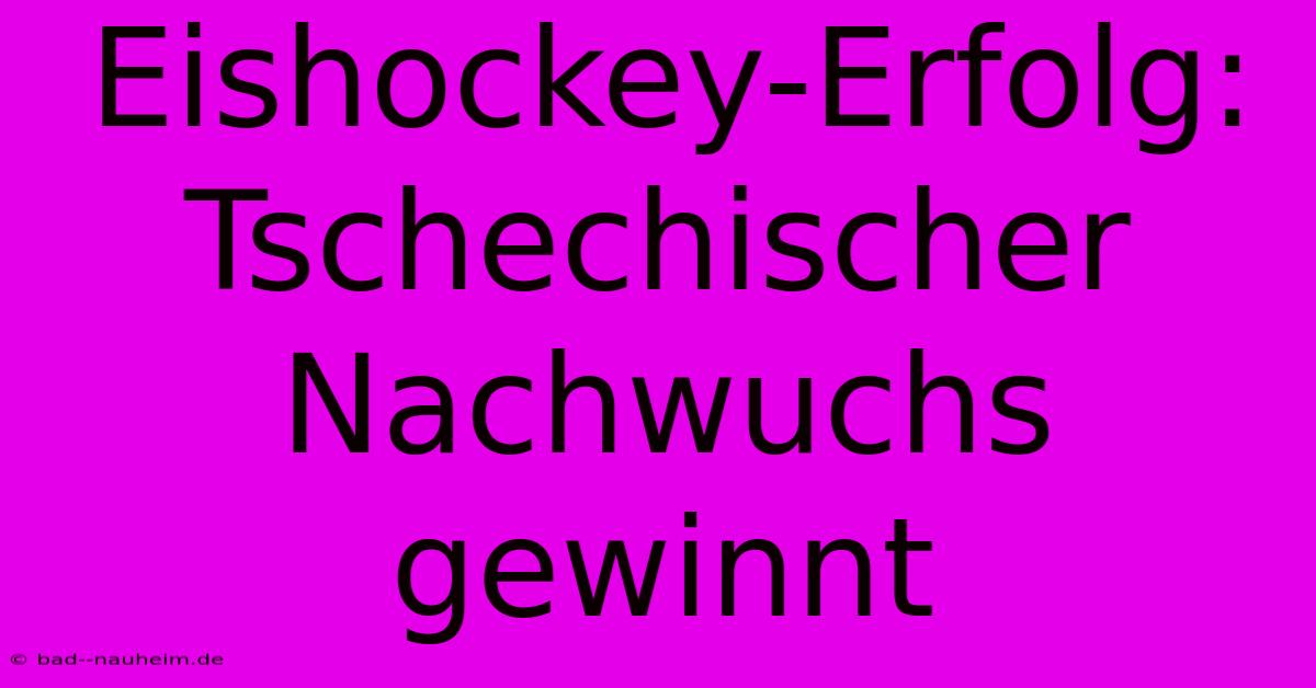 Eishockey-Erfolg: Tschechischer Nachwuchs Gewinnt