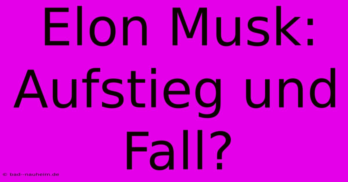 Elon Musk: Aufstieg Und Fall?