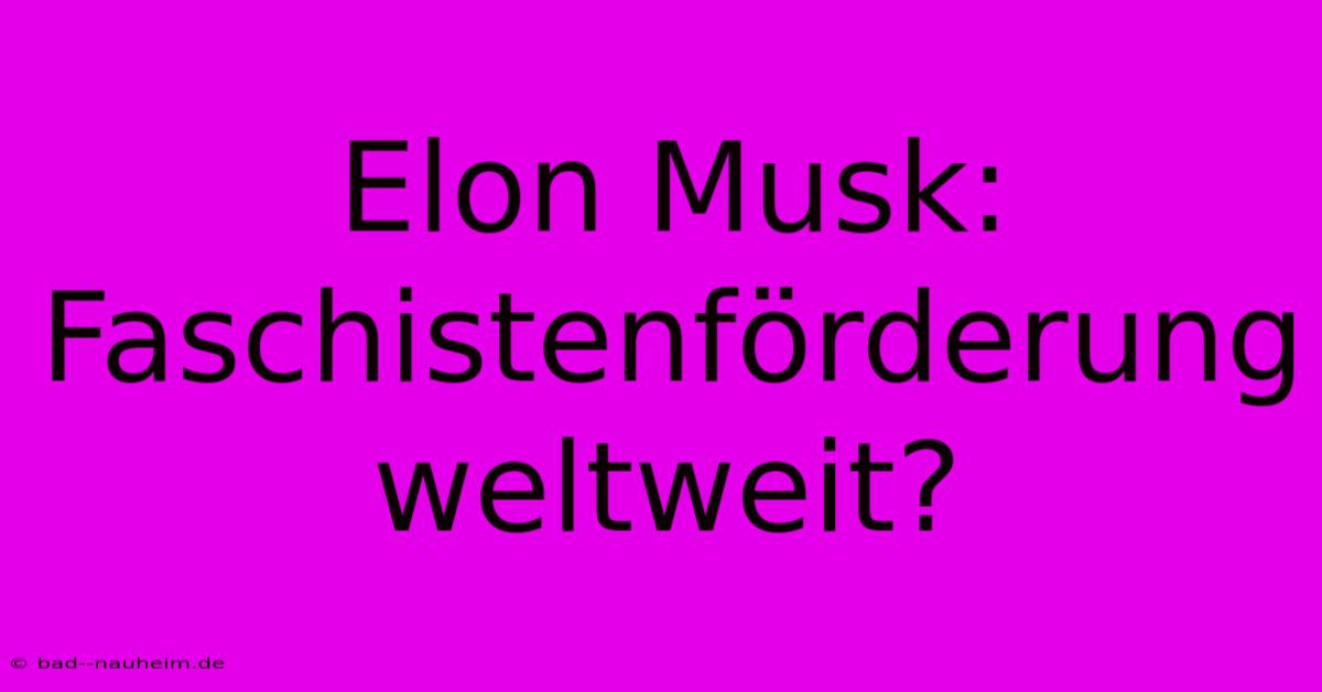 Elon Musk: Faschistenförderung Weltweit?