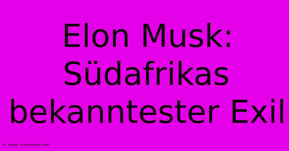 Elon Musk: Südafrikas Bekanntester Exil