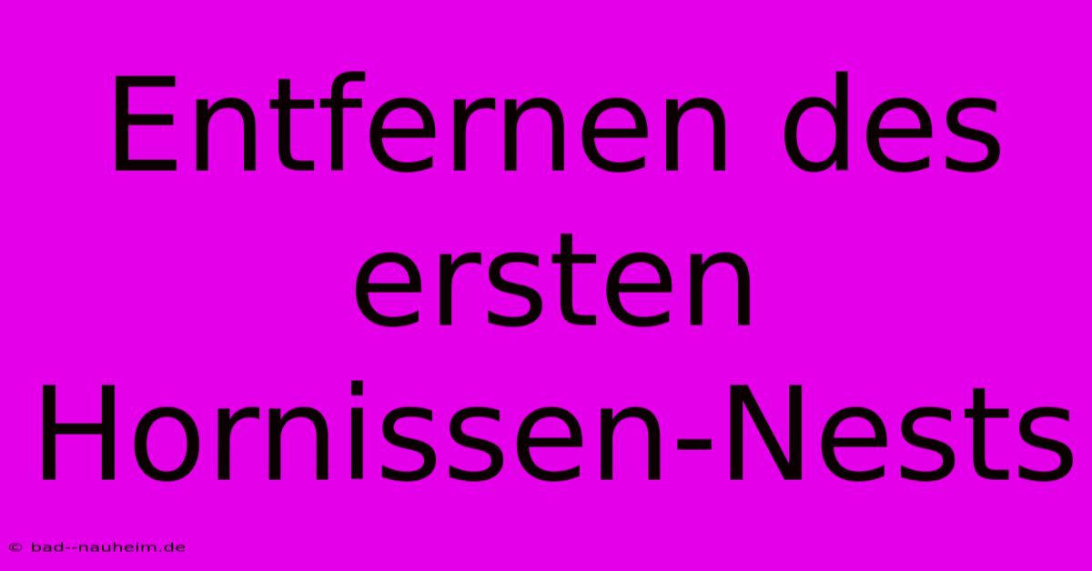 Entfernen Des Ersten Hornissen-Nests