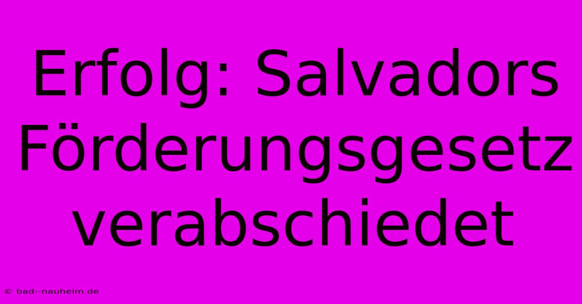 Erfolg: Salvadors Förderungsgesetz Verabschiedet