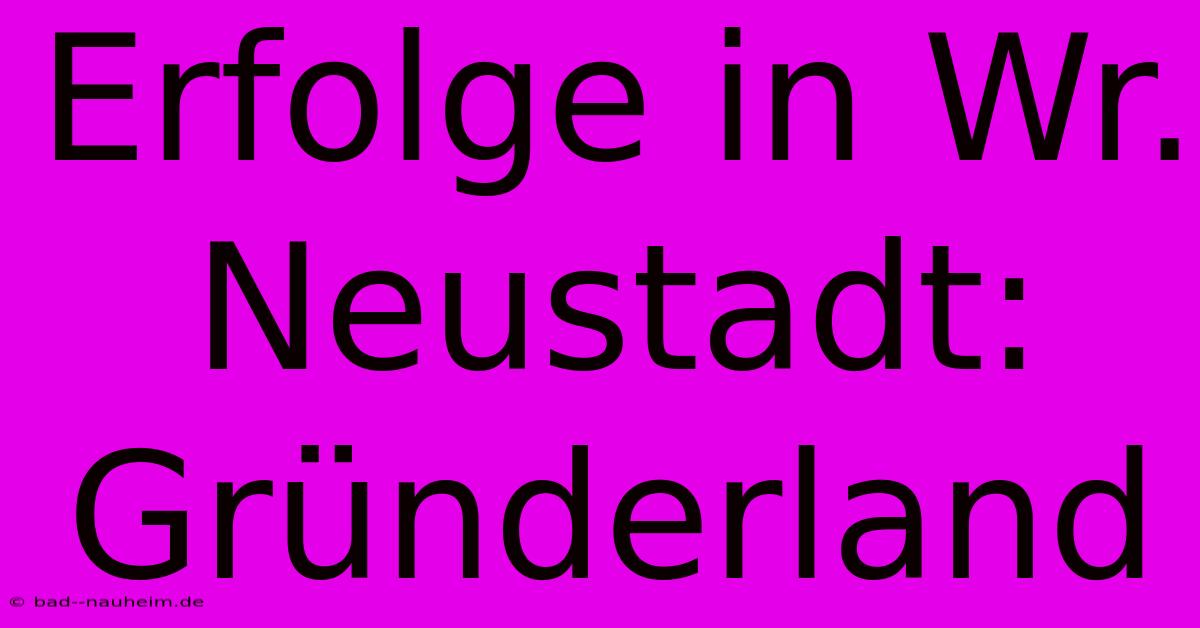 Erfolge In Wr. Neustadt: Gründerland