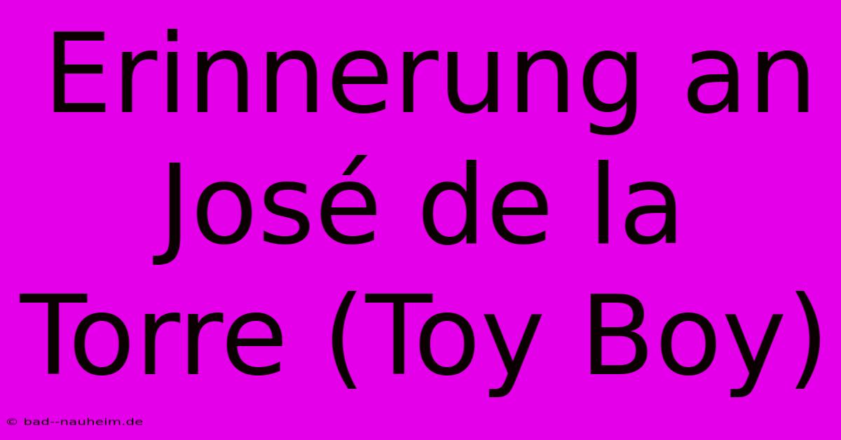 Erinnerung An José De La Torre (Toy Boy)