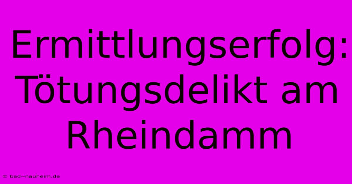 Ermittlungserfolg: Tötungsdelikt Am Rheindamm