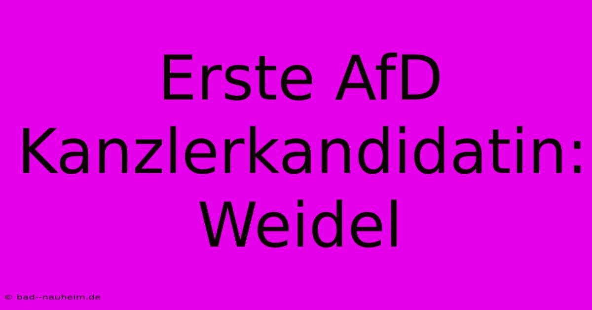 Erste AfD Kanzlerkandidatin: Weidel