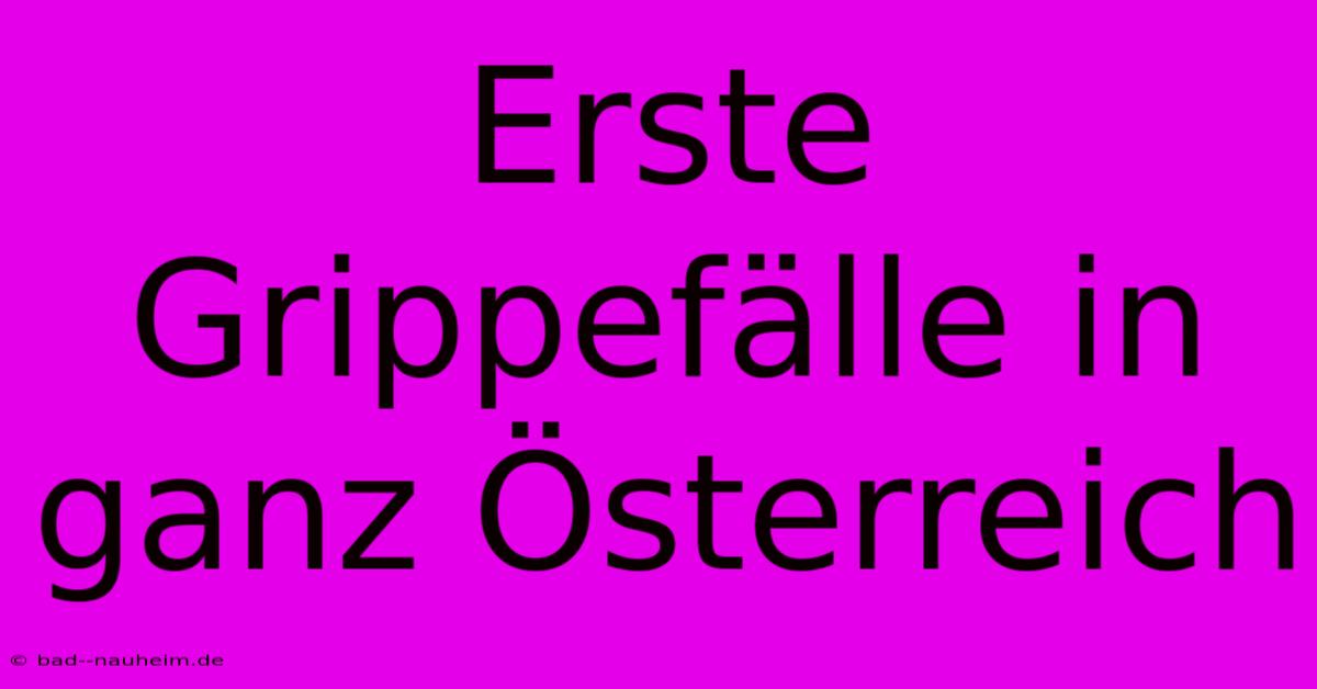 Erste Grippefälle In Ganz Österreich