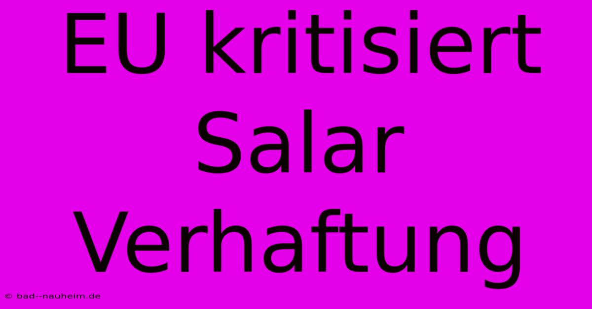 EU Kritisiert Salar Verhaftung