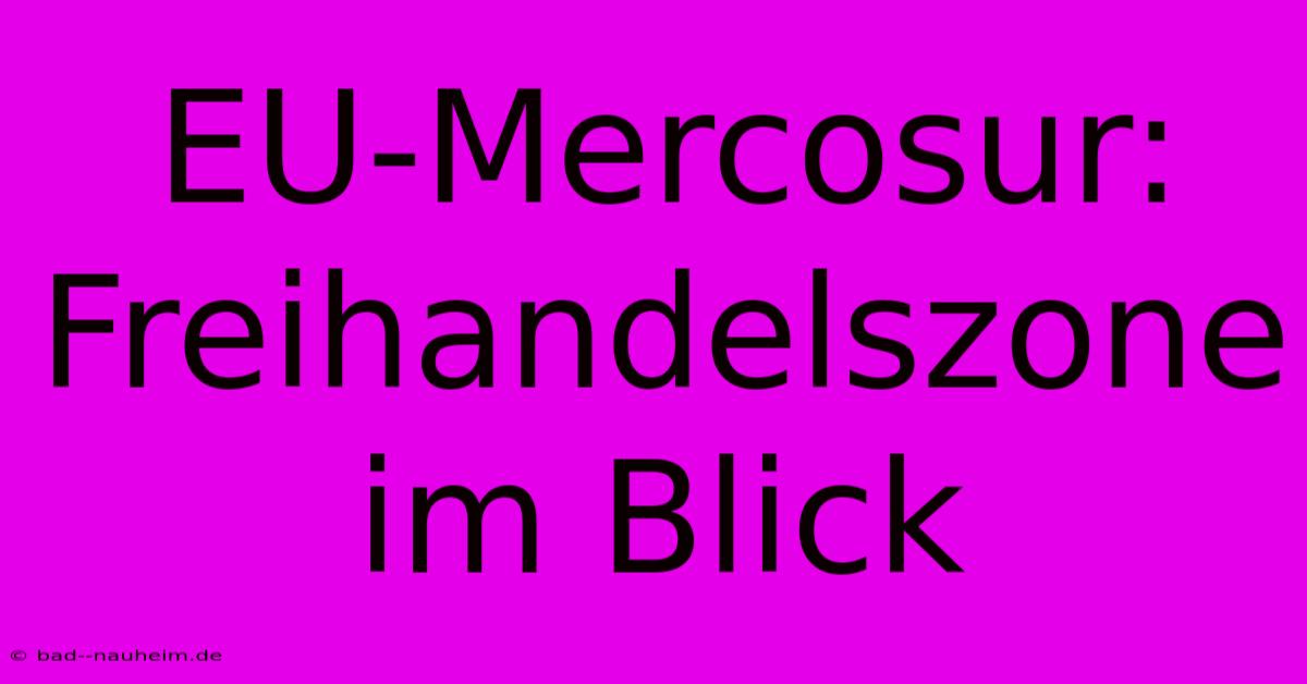 EU-Mercosur:  Freihandelszone Im Blick