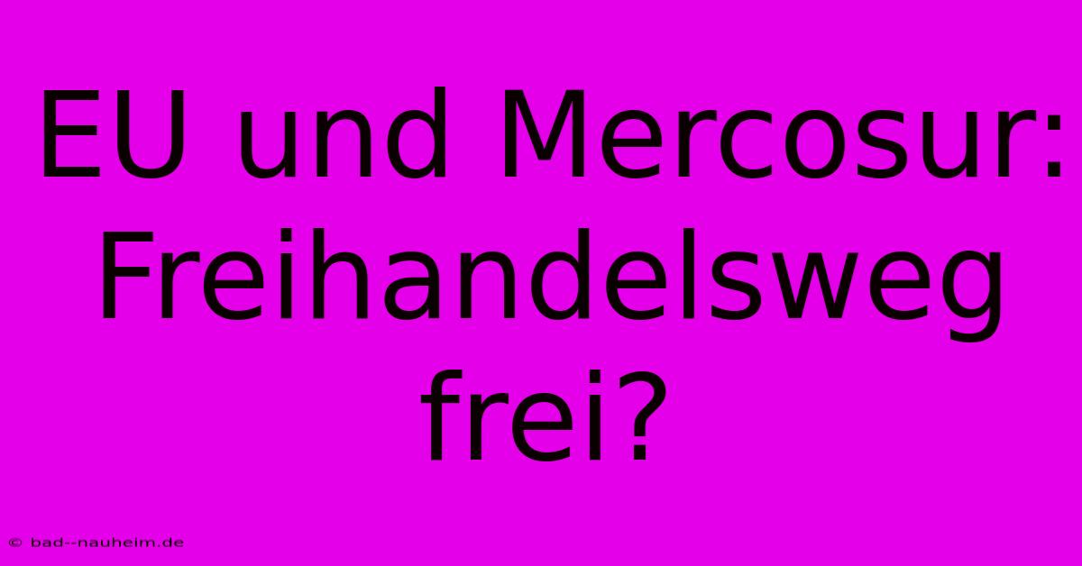 EU Und Mercosur: Freihandelsweg Frei?