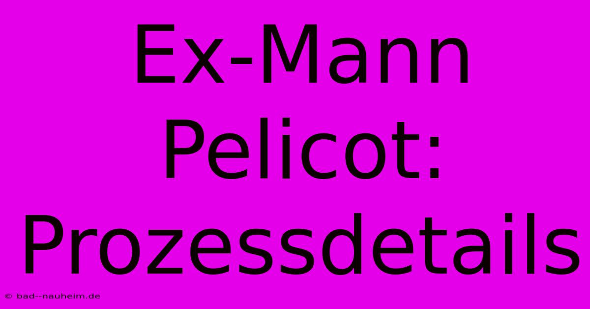 Ex-Mann Pelicot: Prozessdetails