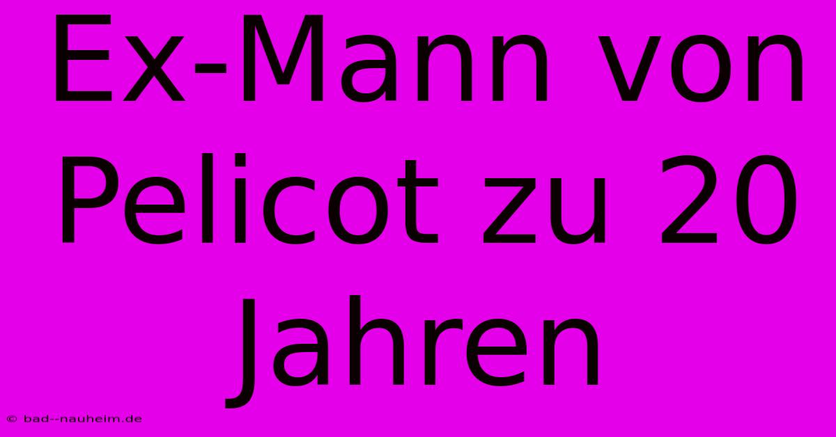 Ex-Mann Von Pelicot Zu 20 Jahren