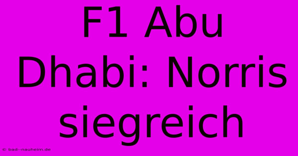 F1 Abu Dhabi: Norris Siegreich