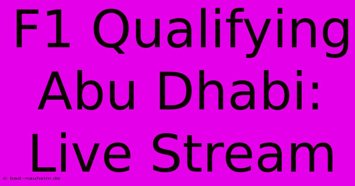 F1 Qualifying Abu Dhabi: Live Stream