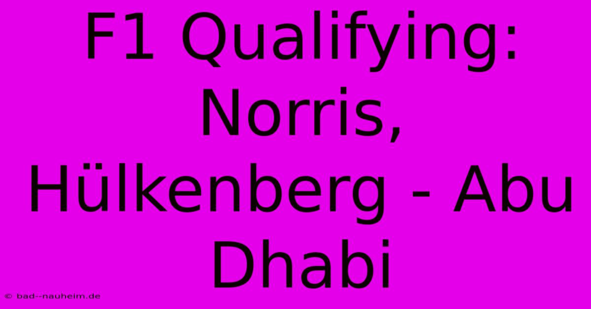 F1 Qualifying: Norris, Hülkenberg - Abu Dhabi