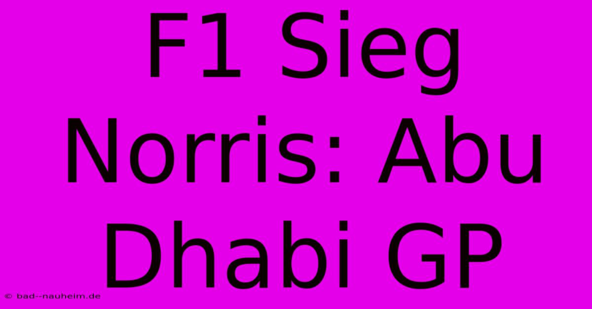 F1 Sieg Norris: Abu Dhabi GP