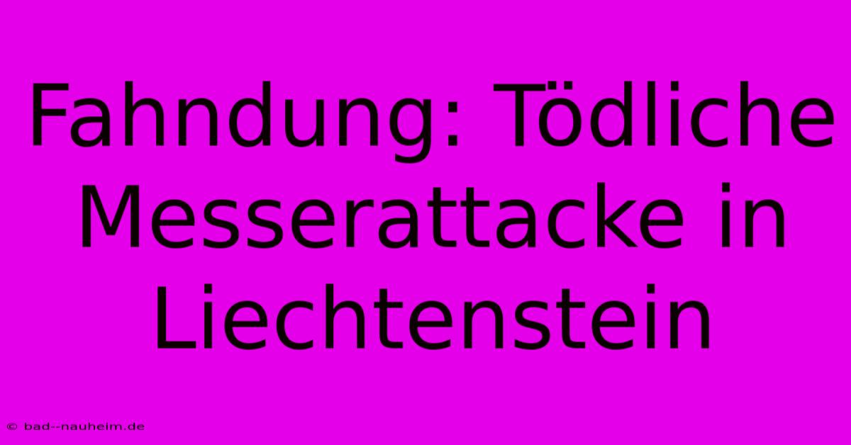 Fahndung: Tödliche Messerattacke In Liechtenstein