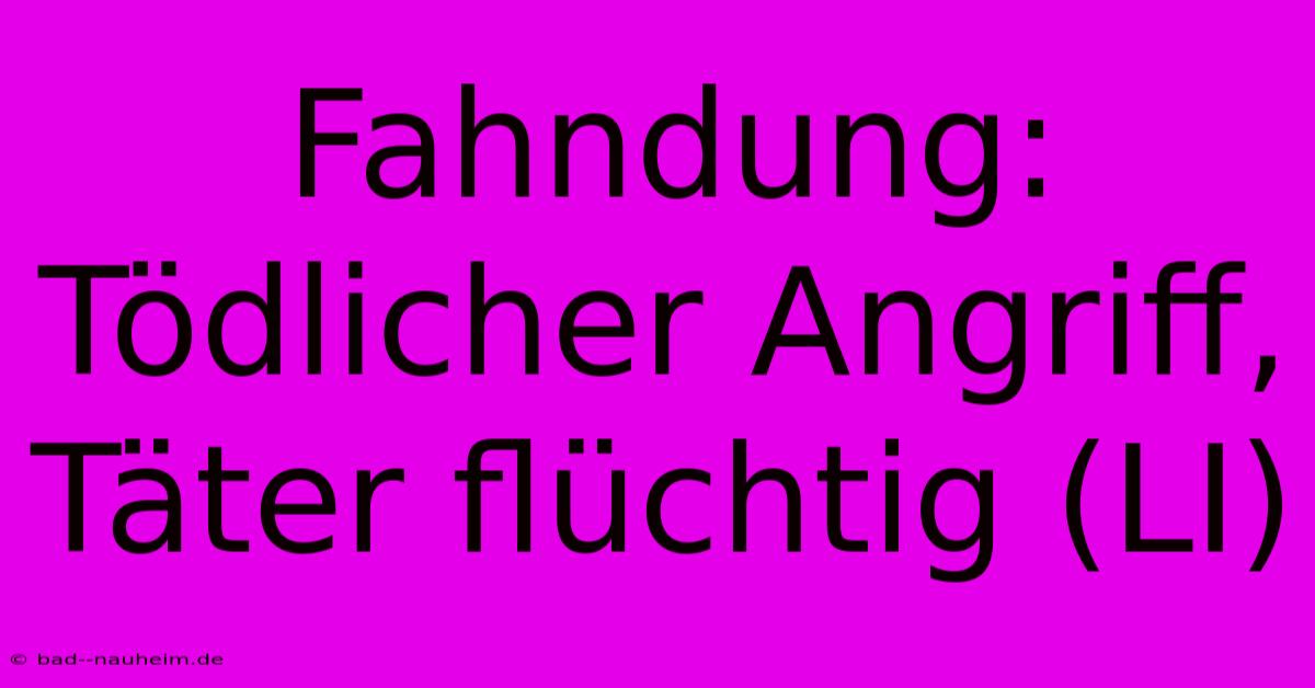 Fahndung: Tödlicher Angriff, Täter Flüchtig (LI)