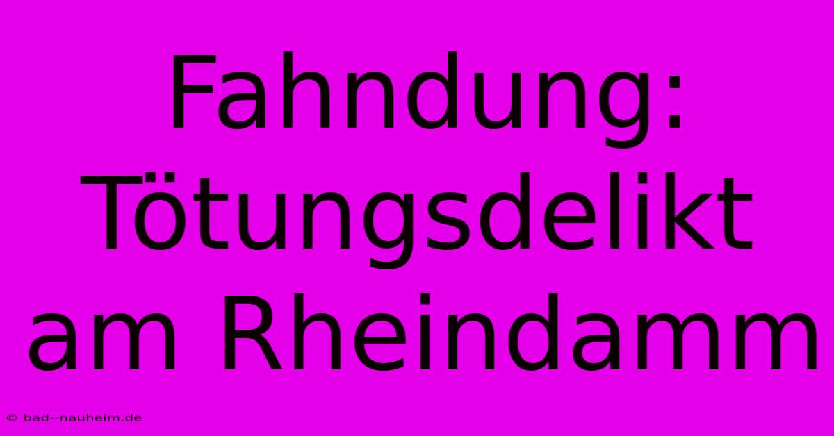 Fahndung: Tötungsdelikt Am Rheindamm