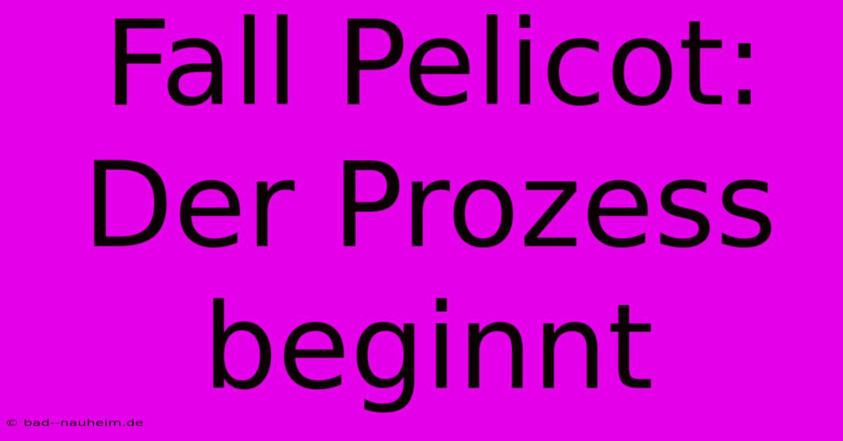 Fall Pelicot:  Der Prozess Beginnt