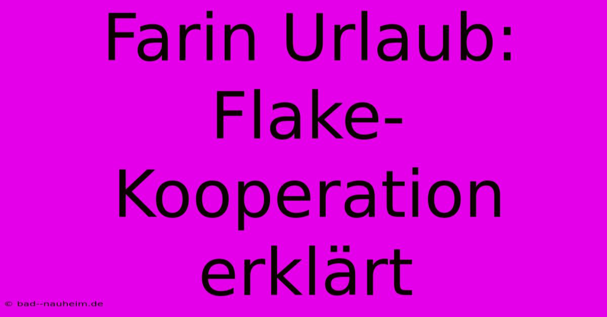 Farin Urlaub:  Flake-Kooperation Erklärt