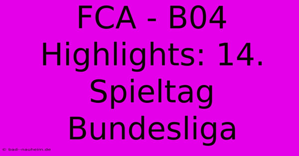 FCA - B04 Highlights: 14. Spieltag Bundesliga