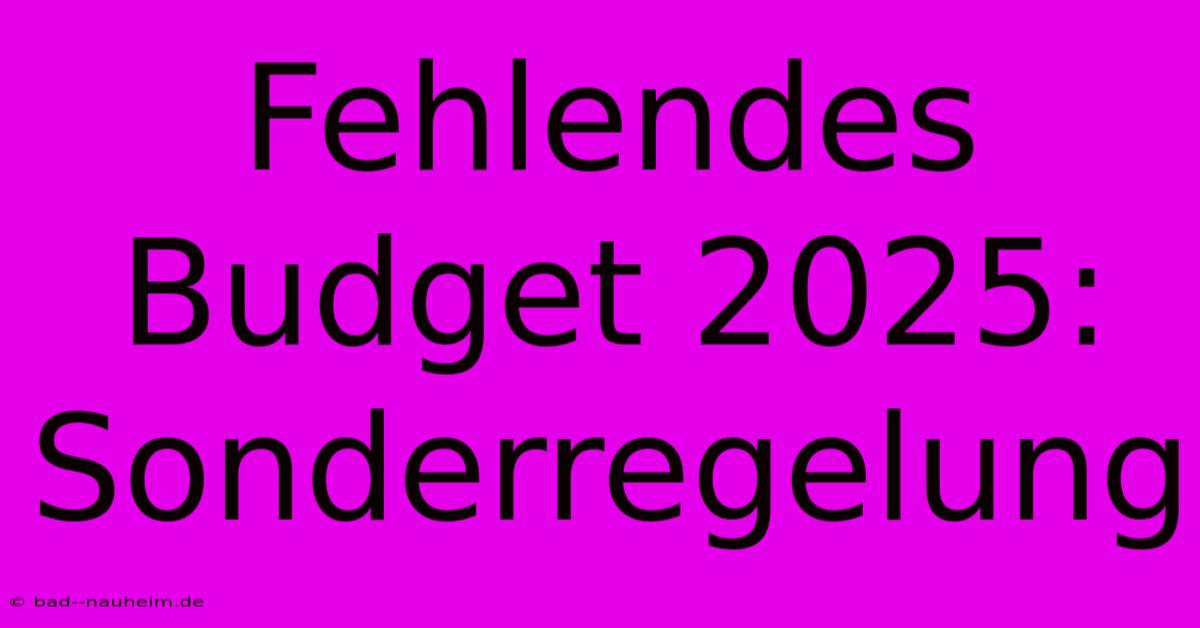 Fehlendes Budget 2025:  Sonderregelung