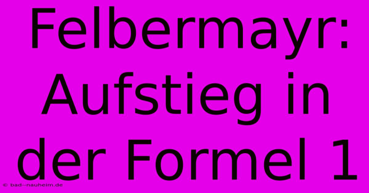 Felbermayr: Aufstieg In Der Formel 1