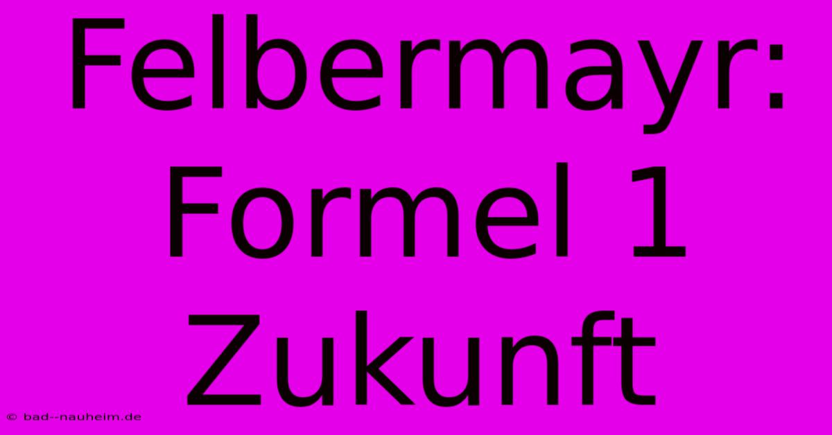 Felbermayr:  Formel 1  Zukunft