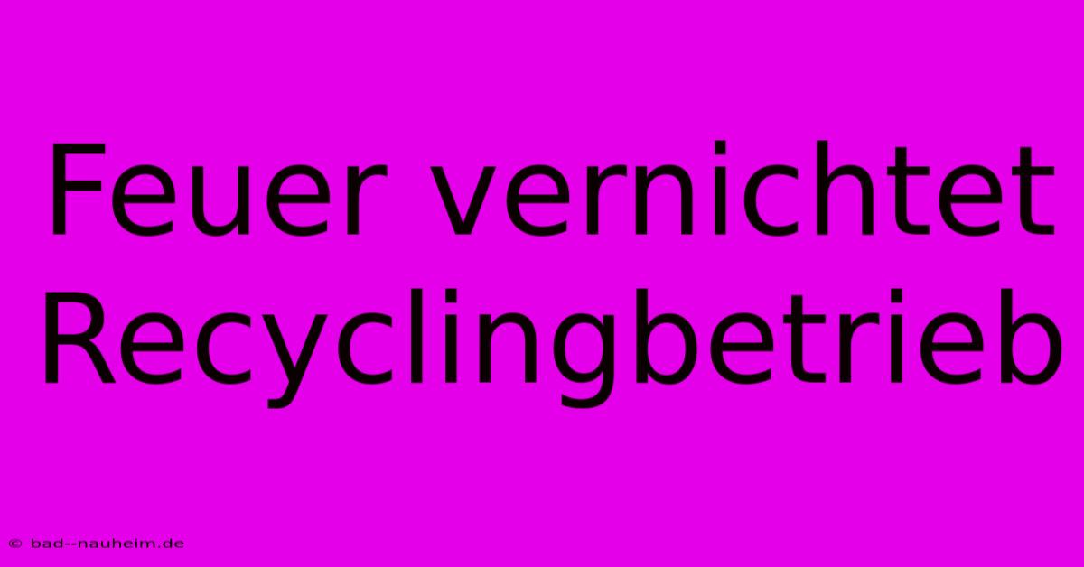 Feuer Vernichtet Recyclingbetrieb