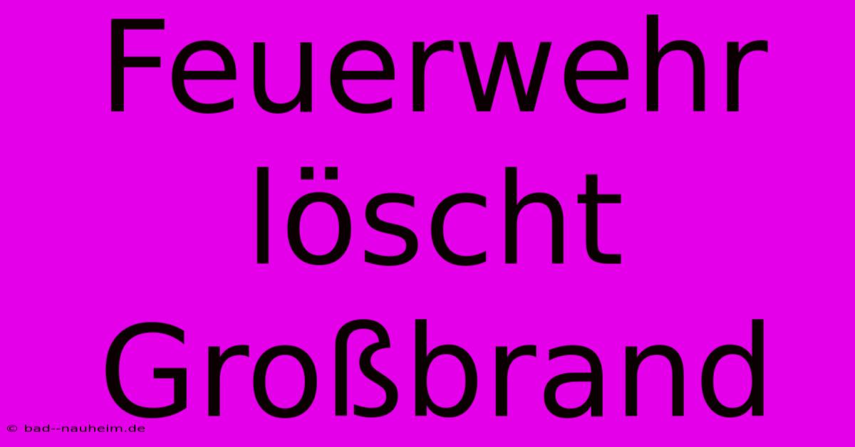 Feuerwehr Löscht Großbrand