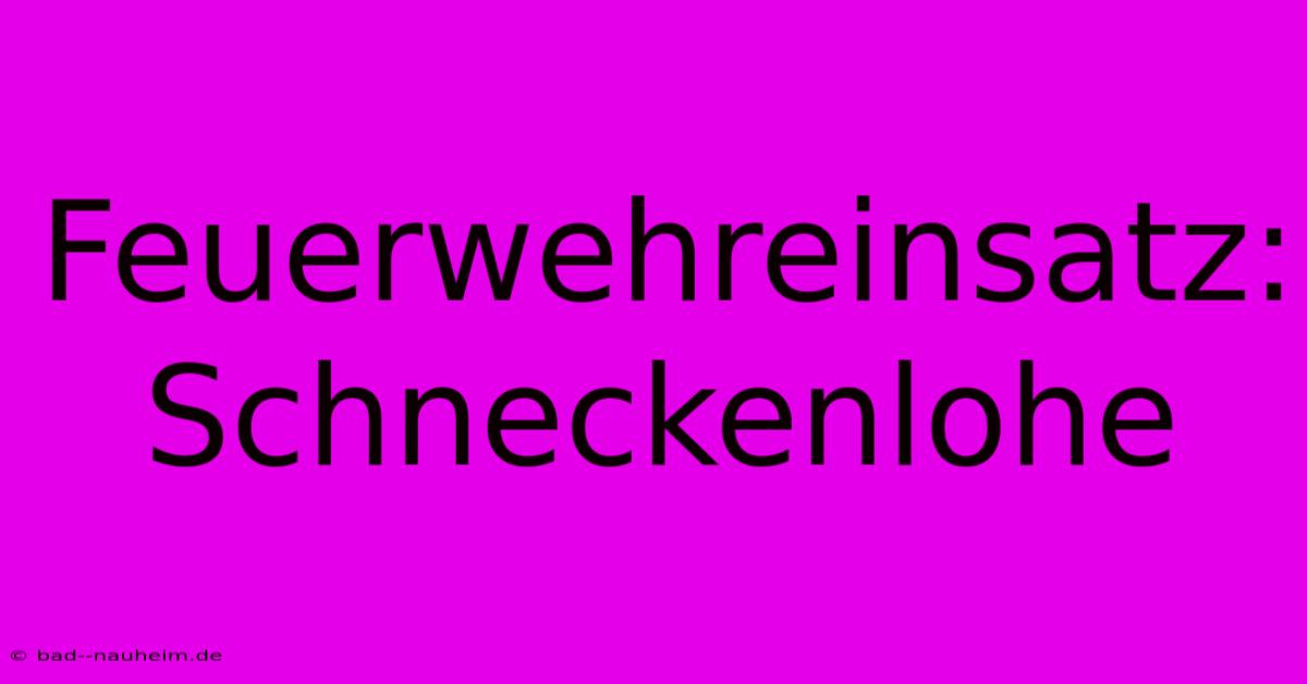 Feuerwehreinsatz: Schneckenlohe