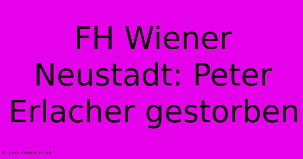 FH Wiener Neustadt: Peter Erlacher Gestorben