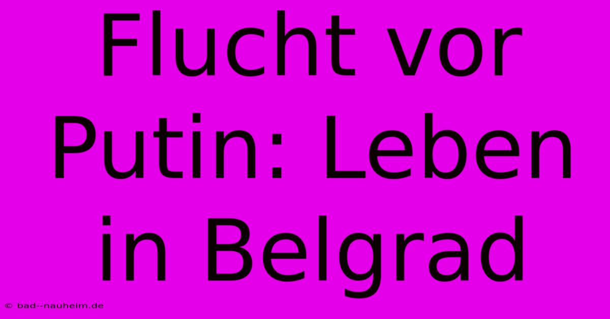 Flucht Vor Putin: Leben In Belgrad