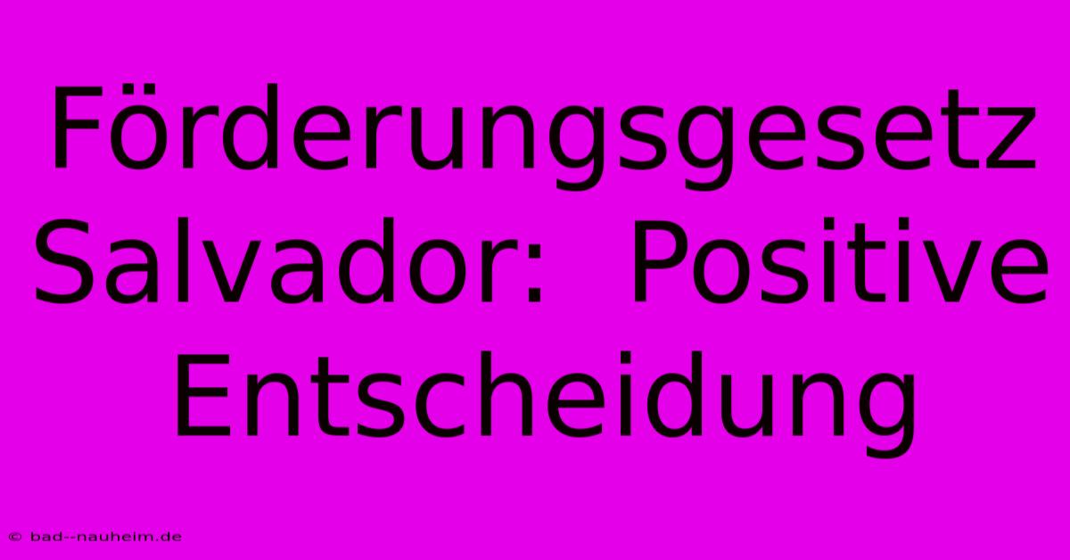 Förderungsgesetz Salvador:  Positive Entscheidung