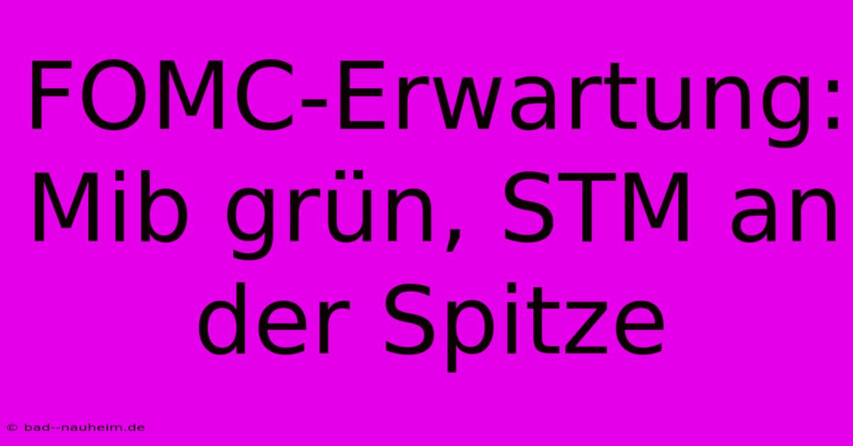 FOMC-Erwartung: Mib Grün, STM An Der Spitze