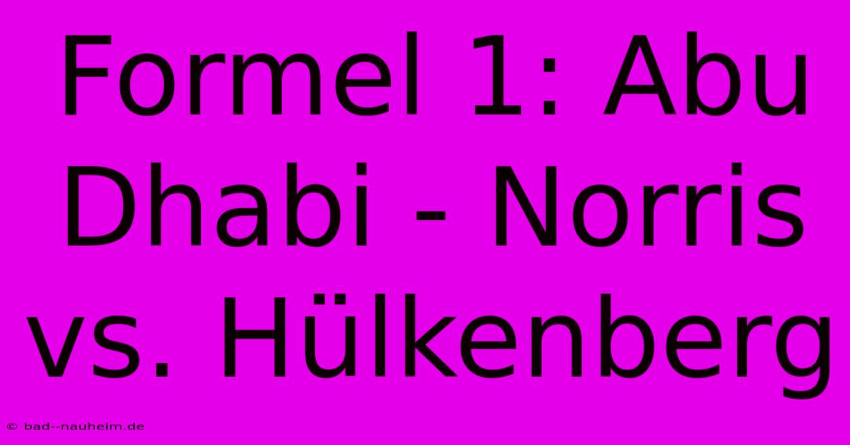 Formel 1: Abu Dhabi - Norris Vs. Hülkenberg