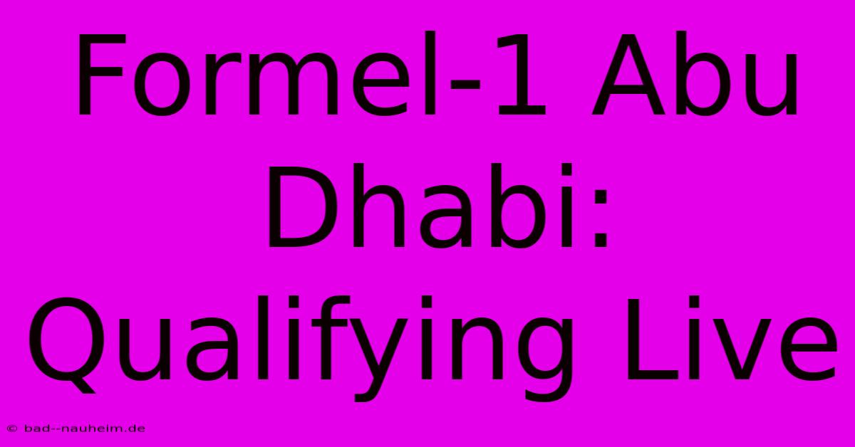 Formel-1 Abu Dhabi: Qualifying Live