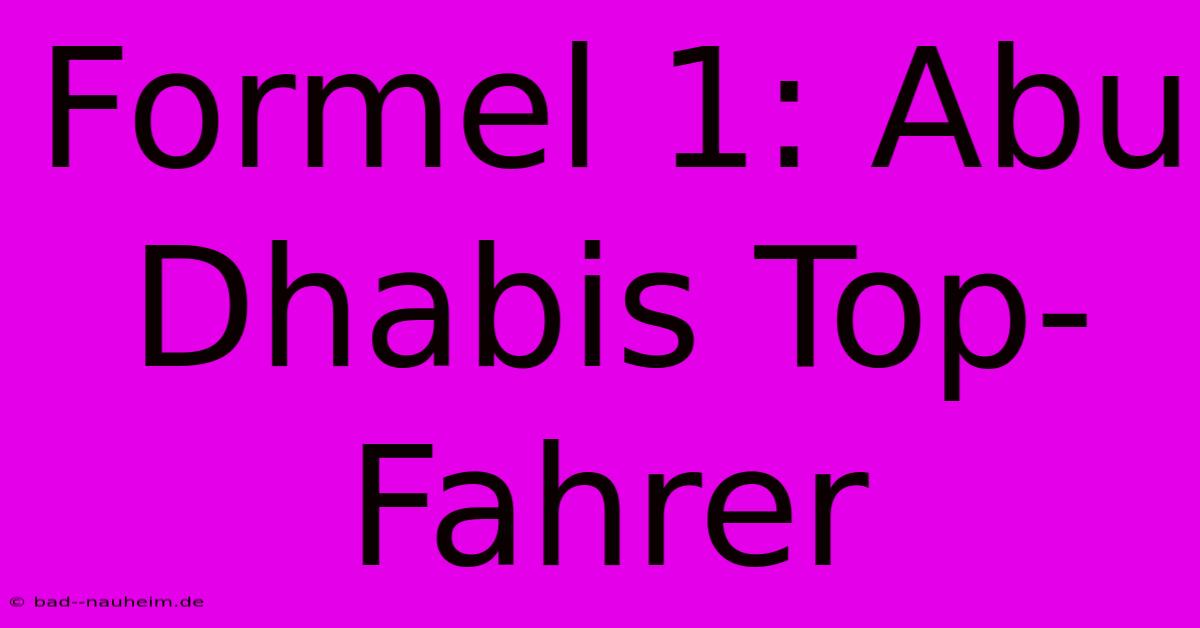 Formel 1: Abu Dhabis Top-Fahrer