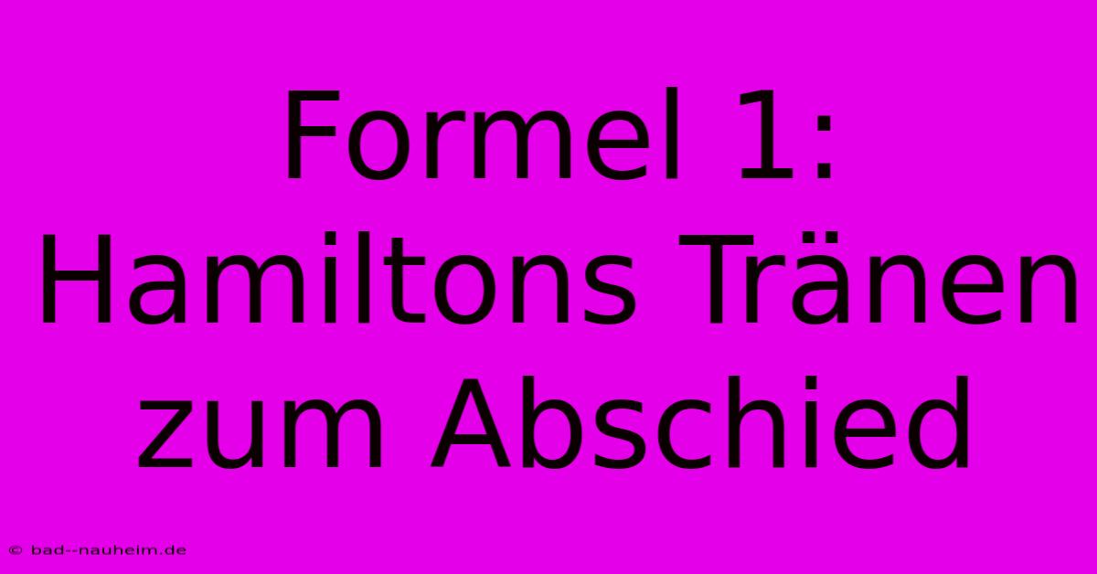 Formel 1: Hamiltons Tränen Zum Abschied