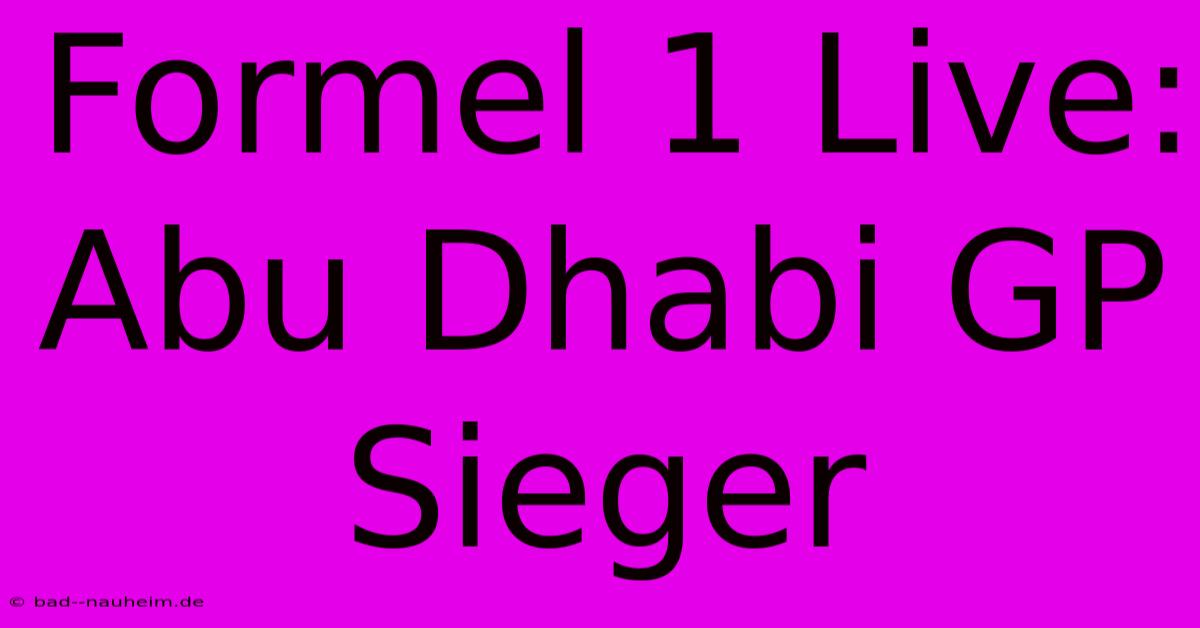 Formel 1 Live: Abu Dhabi GP Sieger