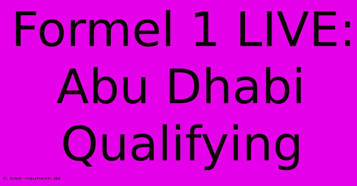 Formel 1 LIVE: Abu Dhabi Qualifying