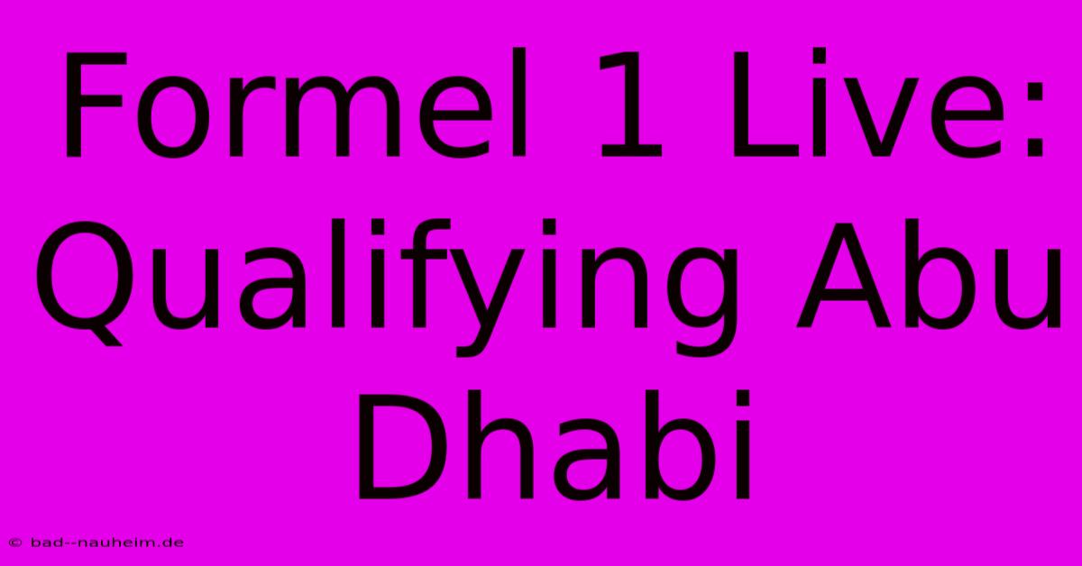 Formel 1 Live: Qualifying Abu Dhabi