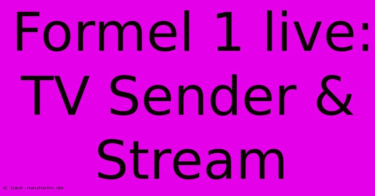 Formel 1 Live: TV Sender & Stream