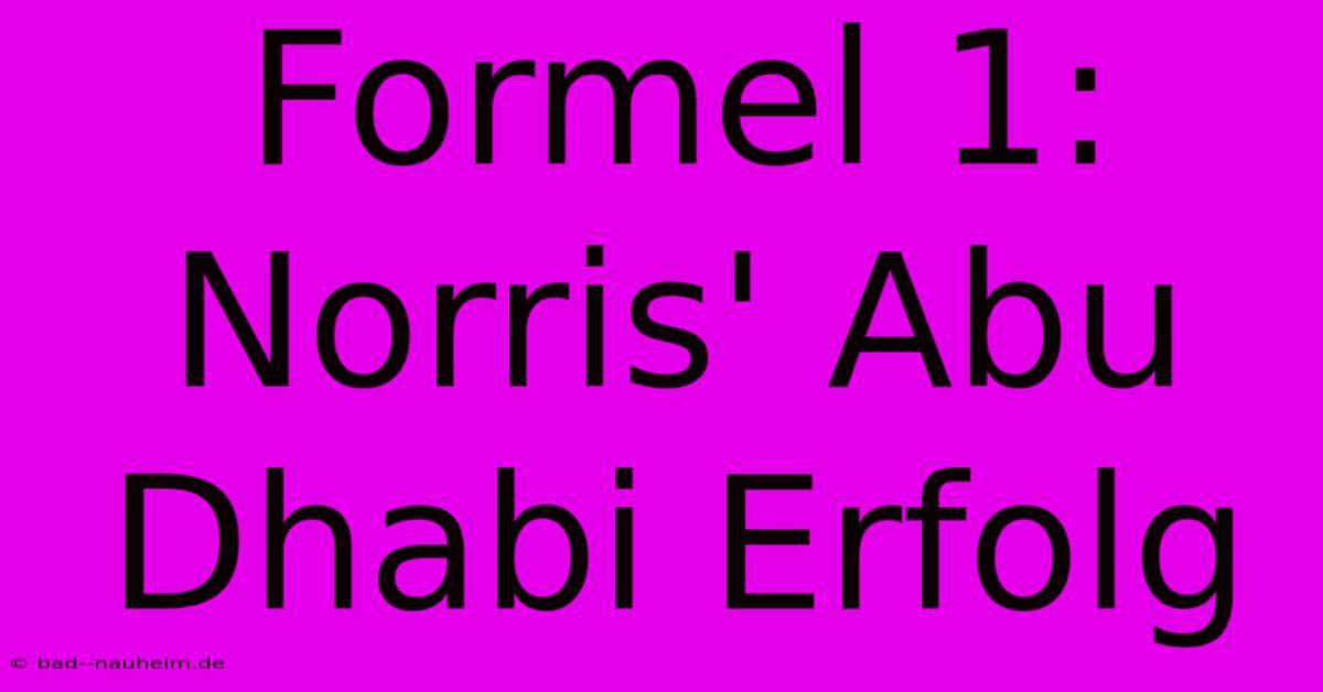 Formel 1: Norris' Abu Dhabi Erfolg