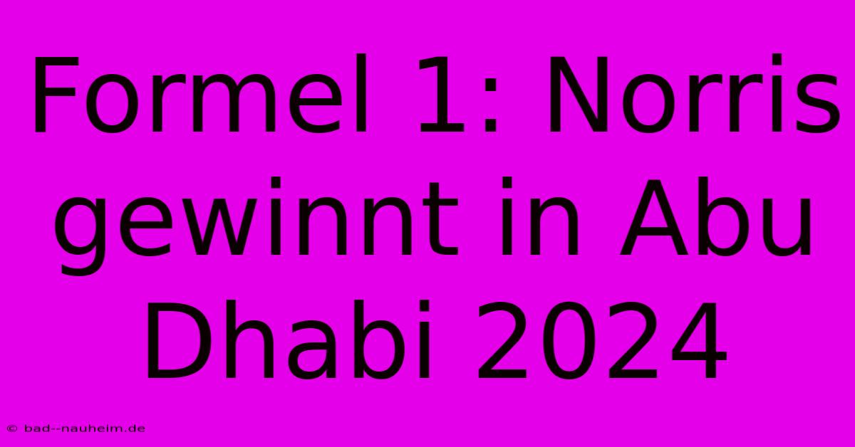 Formel 1: Norris Gewinnt In Abu Dhabi 2024